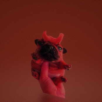 Dog Frenchie GIF - Dog Frenchie Paint 3d GIFs