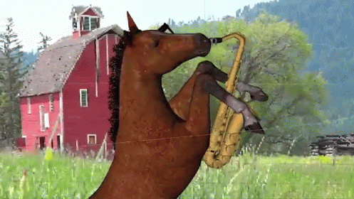Smarter Than A Horse With A Saxophone GIF - Horse Saxophone Smart GIFs