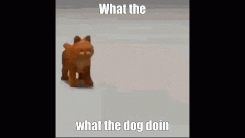 What The GIF - What The Dog GIFs