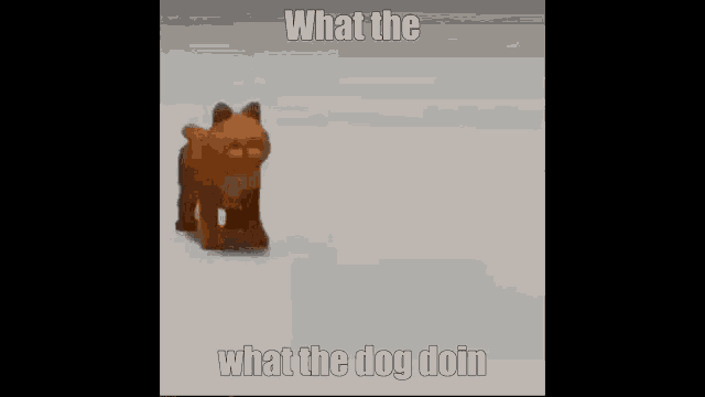 a picture of a dog with the words what the dog doin on it .
