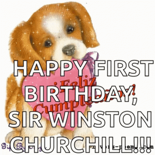 Winston Churchill GIF - Winston Churchill Dday GIFs