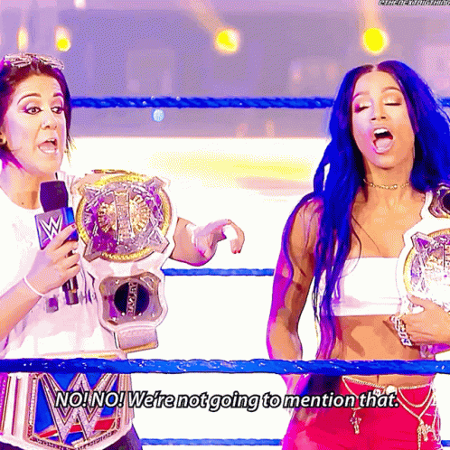 Sasha Banks Womens Tag Team Champions GIF - Sasha Banks Womens Tag Team Champions No GIFs