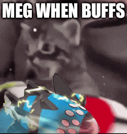 a raccoon is looking at a toy that says meg when buffs on it