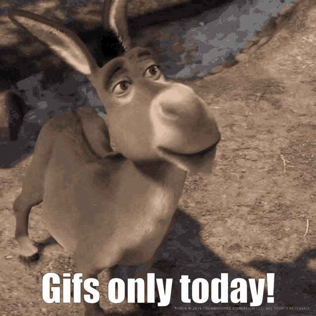 Today Gif GIF