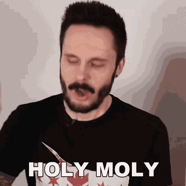 a man with a beard is wearing a black shirt that says holy moly on it
