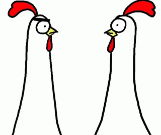 Chicken Bro Chicken GIF - Chicken Bro Chicken Slap GIFs