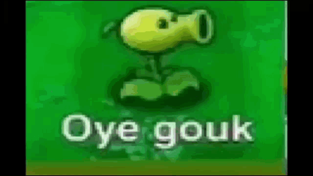 a green background with a yellow cartoon character and the words `` oye gouk '' .