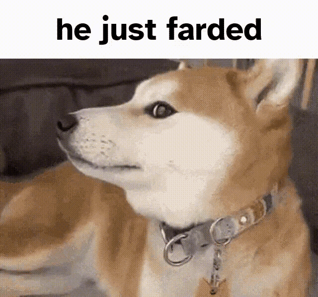 Doge Farted GIF - Doge Farted GIFs