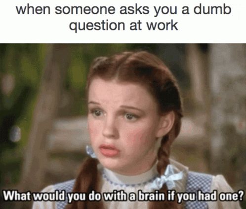 Dumb Question Work GIF - Dumb Question Work Dorothy GIFs