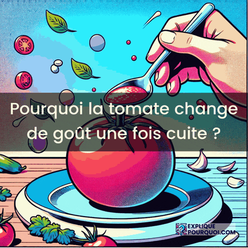 an illustration of a tomato with the words " pourquoi la tomate change de gout une fois cuite " written below it