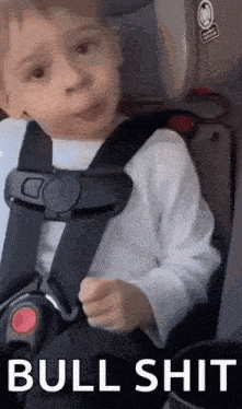 a young boy is sitting in a car seat with a seat belt .