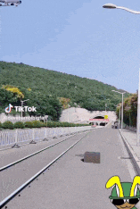 a plane is flying over a road with a cartoon rabbit in the foreground and the word tiktok on the bottom