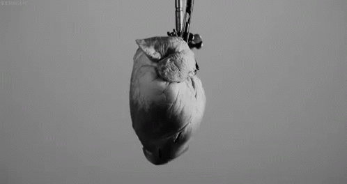 Black Heart Exploding GIF - Black Heart Heart Heart Explodes GIFs