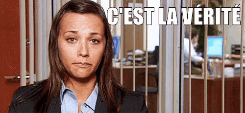 C'Est La Vérité GIF