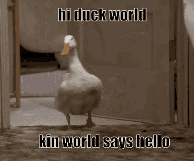Duckworld Kin World GIF - Duckworld Kin World Duck GIFs
