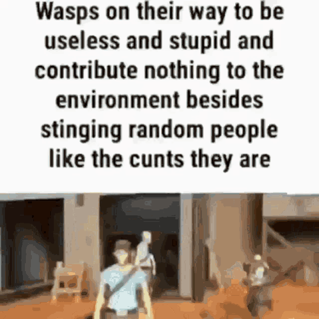 Wasp GIF - Wasp GIFs