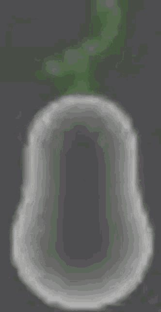 a blurred image of a bell with a green stem on top of it .