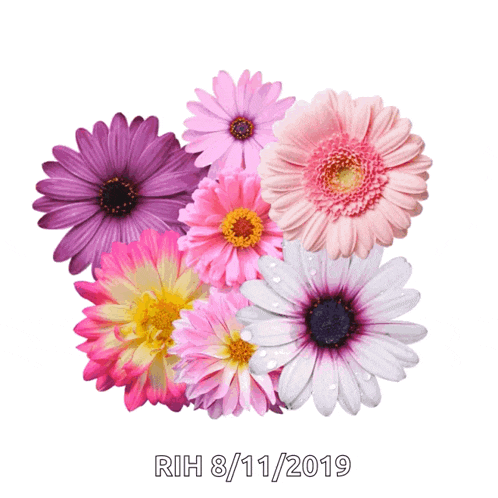 a bunch of different colored flowers with the date rih 8/11/2019