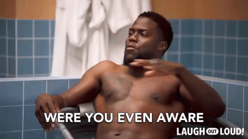 Were You Even Aware Kevin Hart GIF - Were You Even Aware Kevin Hart Cold As Balls GIFs