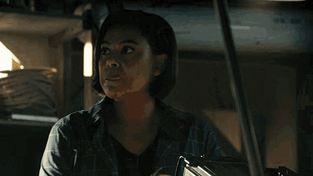 a woman in a blue plaid shirt is looking at something