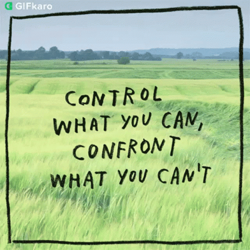 Control What You Can Confront What You Cant GIF - Control What You Can Confront What You Cant Gifkaro GIFs