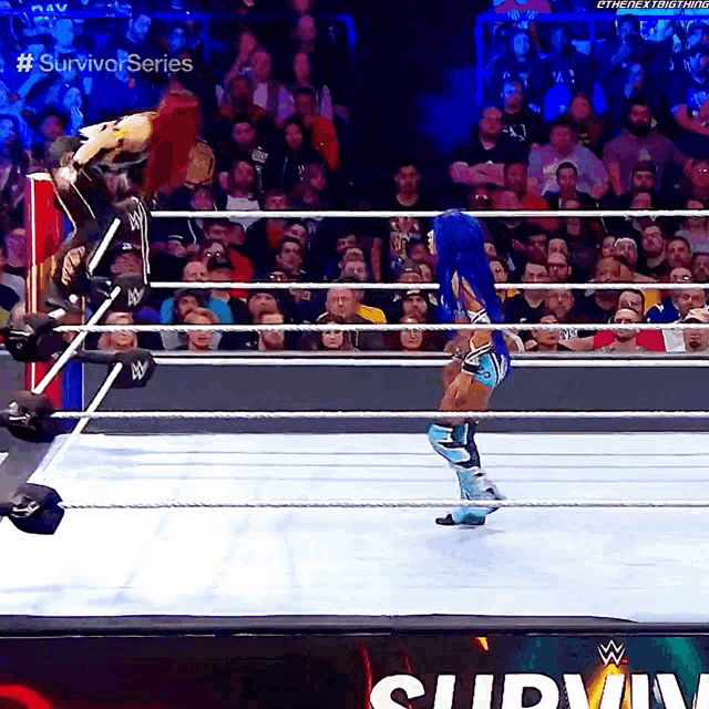 a woman in a wrestling ring with the words survivor series on the bottom right