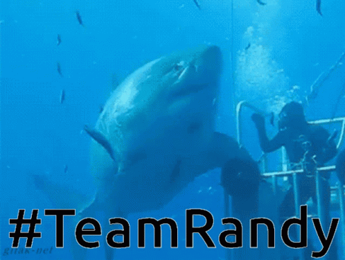 Team Randy GIF - Team Randy Team Randy GIFs