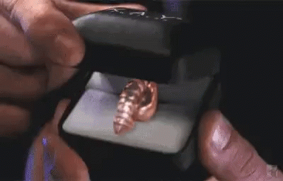 Penis Necklace GIF - Penis Necklace Shocked GIFs