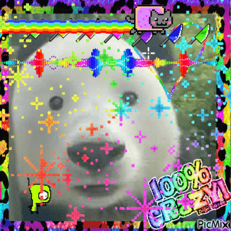 a picture of a polar bear with the words 100 % crazy written on the bottom