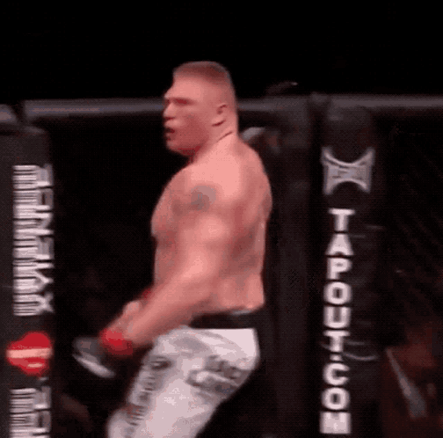 Brock Lesnar Who Is The Man GIF - Brock Lesnar Lesnar Who Is The Man GIFs