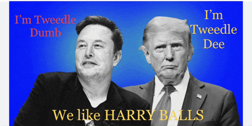 a picture of elon musk and donald trump with the caption " i 'm tweedle dee "