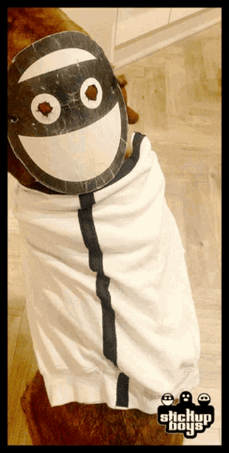 a dog wearing a costume that says stickyup boys on it