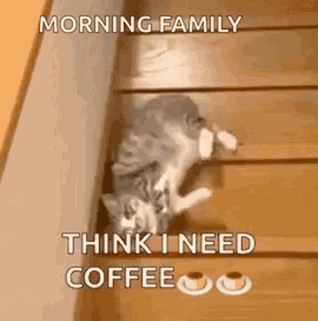 Need Coffee Lazy GIF - Need Coffee Lazy Morning GIFs