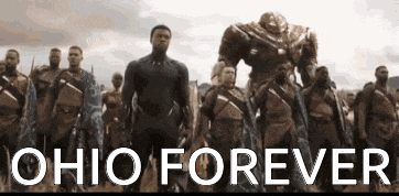 Ohio Ohio Meme GIF