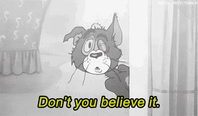 a black and white cartoon of a cat with the words `` do n't you believe it '' written on it .