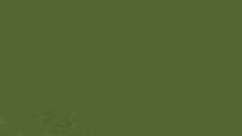a minecraft character is standing in front of a box in a field .