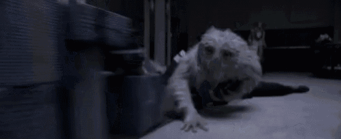 a white monkey is crawling on the floor in a dark room in front of a couch .