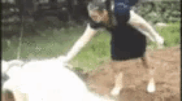 a woman in a black dress is petting a white dog in a field .