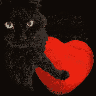 a black cat is holding a red heart with the words " you 're pawsome " written above it