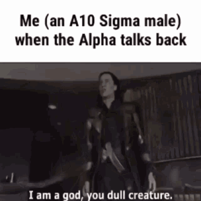 a meme that says me ( an a10 sigma male) when the alpha talks back