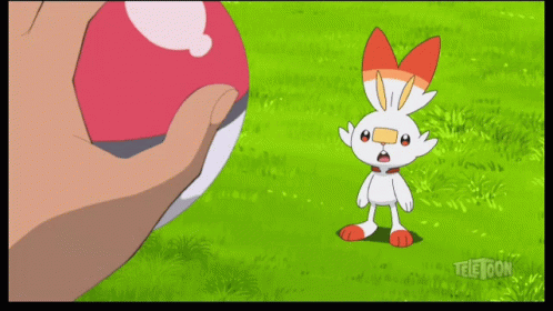 Pokémon Pokemon GIF - Pokémon Pokemon Scorbunny GIFs