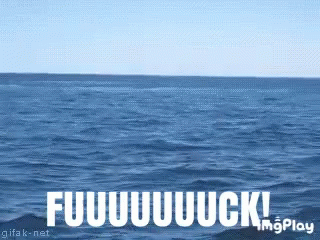 Whale Fuck GIF - Whale Fuck GIFs