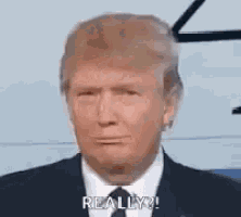 donald trump is wearing a suit and tie and saying `` really ? ''