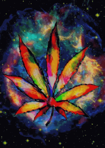 Space Plant GIF - Space Plant Weed GIFs
