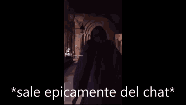 a video of a person walking down a hallway with the words `` sale epicamente del chat '' in the corner .