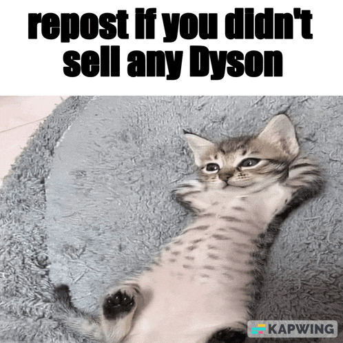 a picture of a kitten laying on its back with the caption repost if you didn 't sell any dyson