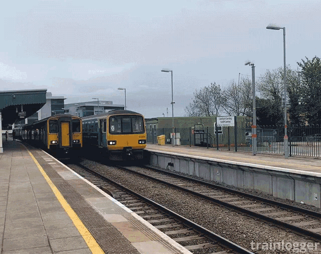 Pacer 143601 GIF - Pacer 143601 Cardiff GIFs