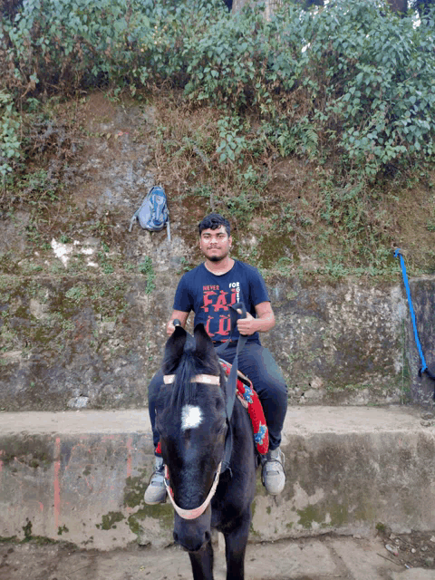 a man is riding a horse with a shirt that says " i 'm fat "