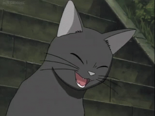 Lol Cat GIF - Lol Cat Je Je Ta Bien GIFs