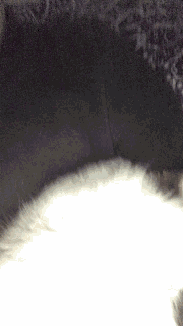 a blurred image of a person 's head with a dark background